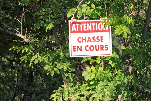 ChasseEnCours_1